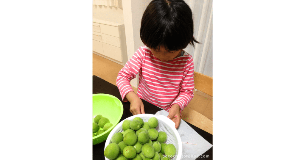 幼い娘と一緒に梅シロップを作っている思い出の写真